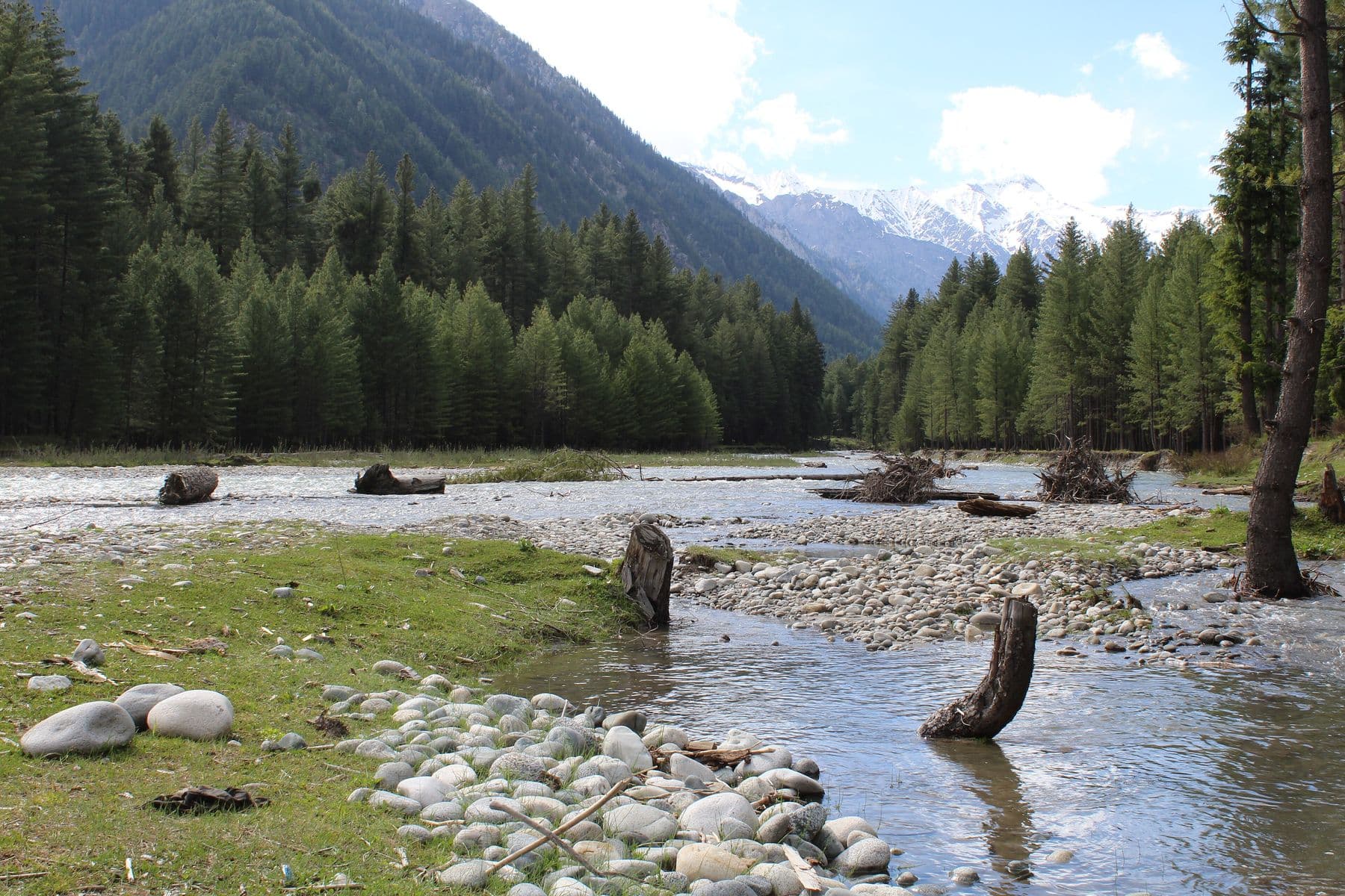Kumrat Valley — Deodar forest, glacier river, dirt road.